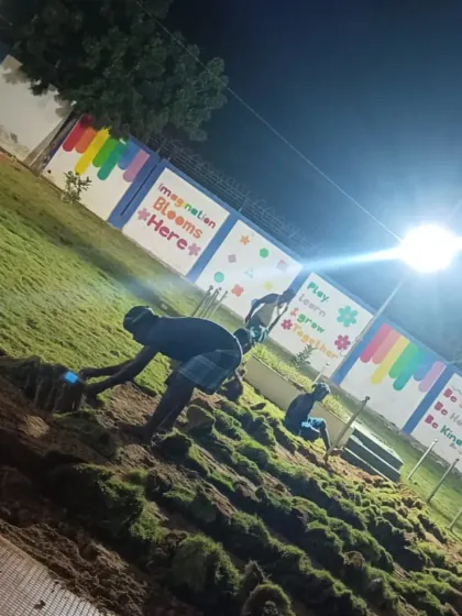 From Dirt to Dream Garden: Our Process photo 5