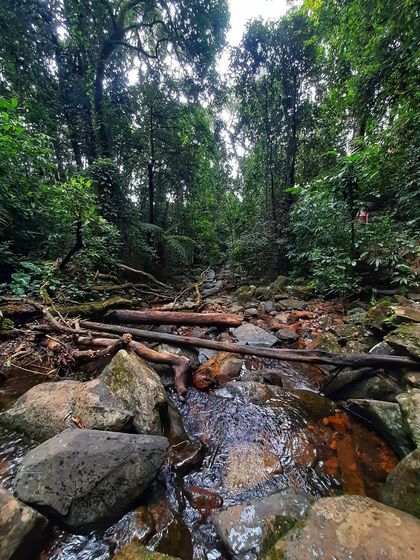 A stream crossing inside the dense forests of the Kudremukha National Park. The trail is an adventure from start to finish.