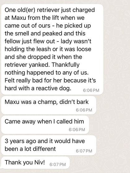 Confident Dogs - Canine Behavior Modification Real Dogs, Real Transformations photo 27