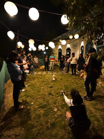 A view of our outdoor area where guests and their dogs can enjoy games and events under the festive lights.