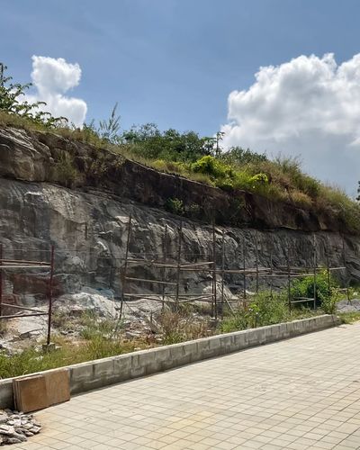 Landscape Design