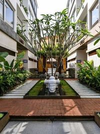 Commercial Landscaping & Plantscaping