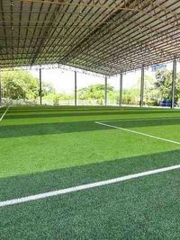 Sports & Recreation Turf