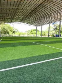 Sports & Recreation Turf