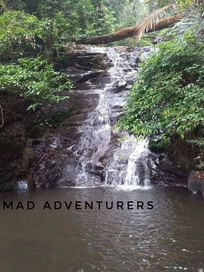 A small, serene waterfall in Kasargod, perfect for a quiet dip. We explore these hidden spots on our Ranipuram trek.