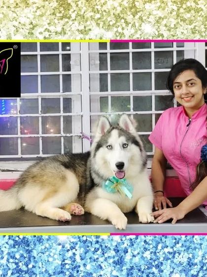 Fuzzy Wuzzy - Pet Grooming & Spa Spaniels, Retrievers & Large Breed Grooming photo 61