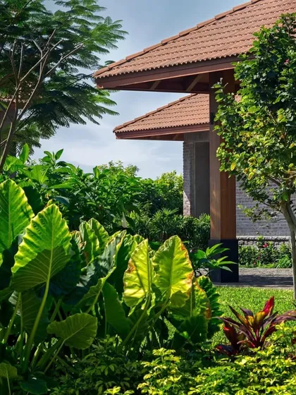 We use dense, layered planting to create a sense of lushness and privacy. Here, large-leafed plants in the foreground partially obscure the house, making the garden feel like a secret, verdant world.