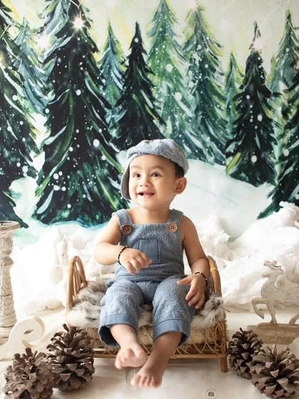 A winter wonderland theme for a baby boy's photoshoot, complete with a snowy forest backdrop and pinecones.