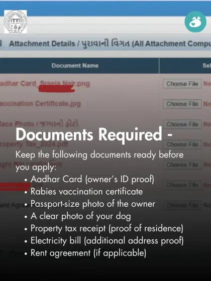 The Pack - Online Pet Parent Community A Voice for Every Dog photo 5