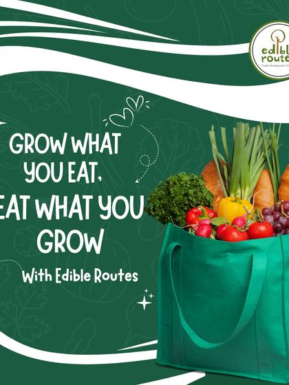 The ultimate goal: a bag full of fresh, organic produce that you've grown yourself. This image represents the principle of "Grow what you eat, eat what you grow."