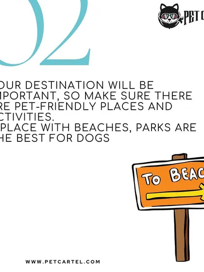 I know that planning a trip can be stressful, whether your pet is coming with you or staying behind. My experience with pet-friendly travel helps me create the perfect staycation environment, ensuring your dog gets all the activity and fun they deserve.