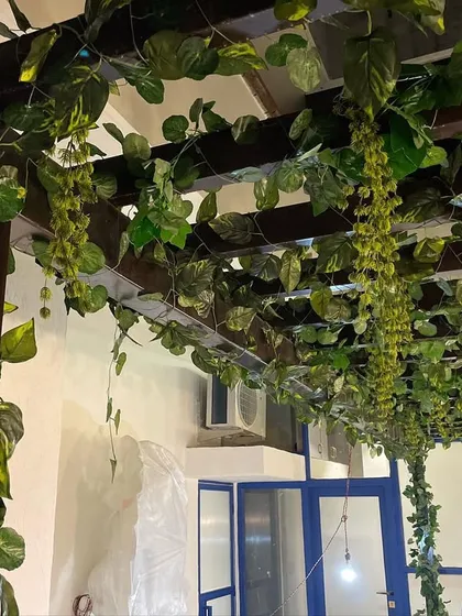 Another view of the artificial vine canopy, showing how it effectively covers the ceiling structure to create an immersive green environment for a commercial space.