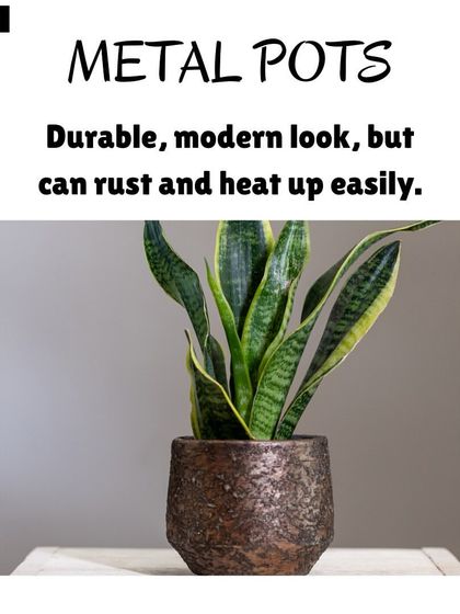 Hygrinz - Plant Sales & Gardening Supplies Gardening Supplies: The Right Foundation photo 5