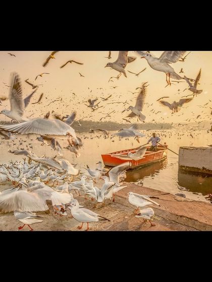 Nitin Rai - Fine Art Photography Prints Documentary: The Soul of the Streets photo 7