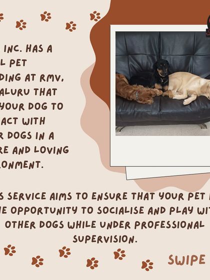 Anvis - Dog Boarding Happy Guests & Social Pups photo 7