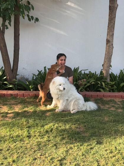 Playful moment between Aiko and his big, fluffy friend in our sunny yard.