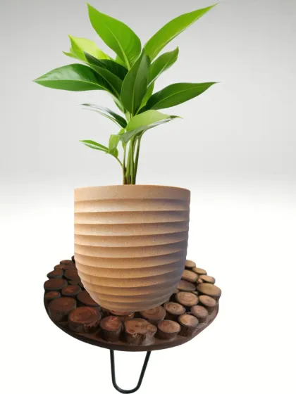 This stylish pot stand features a top made from cross-sections of wood branches, giving it a natural, rustic look. It's paired here with a wooden-textured pot for a complete look.