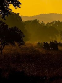 Photography Tours & Workshops