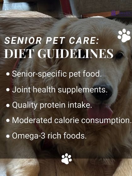 PawsnCollars - Veterinary Care Golden Years: Specialized Senior Care photo 5