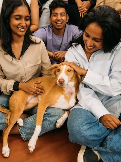 Sarah Sham - Corporate & Office Design Meet the Team: The People Behind the Projects photo 4