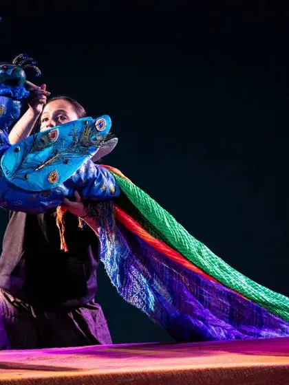 A puppeteer showcases a magnificent peacock puppet from 'Be Yourself'. The long, flowing tail is made from colourful fabric, demonstrating the beauty and creativity of the puppet design.
