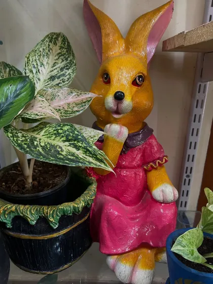 Add a touch of whimsy to your plant collection with this adorable rabbit planter. It's a fun and charming way to display your favorite small plant and is sure to be a conversation starter.