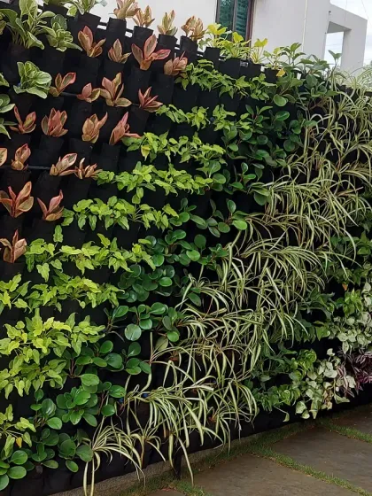 A modular vertical garden system installed against a wall. This shows the versatility of the system, allowing for creative patterns with different types of plants.