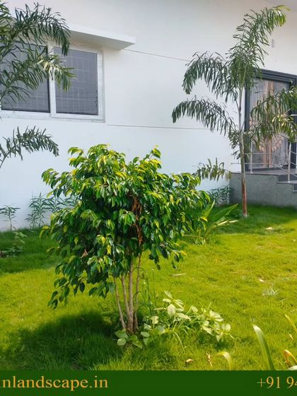 Landscaping for Businesses & Resorts photo 4