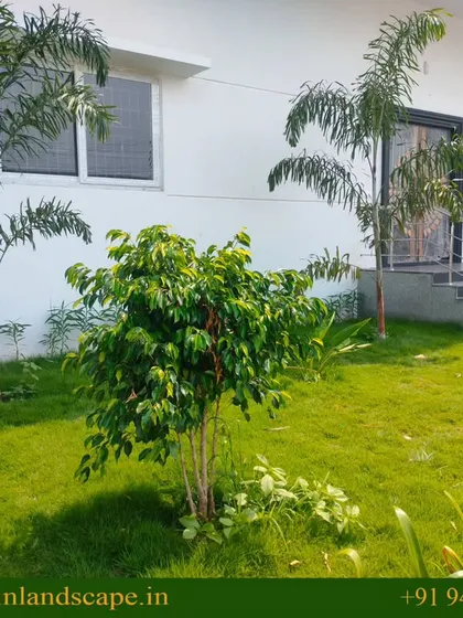 A well-maintained lawn outside a commercial building. A clean, green lawn space provides a visual break and improves the overall aesthetic of an industrial or corporate facility.