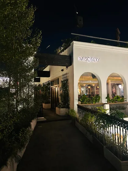 This is the nighttime view of the outdoor walkway we landscaped for Miso Sexy in Mehrauli. Thoughtfully placed lighting highlights the textures of the plants, creating a sophisticated and inviting path that enhances the restaurant's luxurious atmosphere after dark.