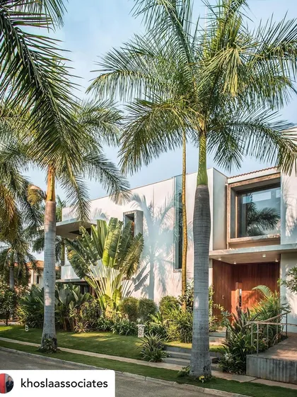 The entrance to a modern villa framed by tall, slender palm trees and lush undergrowth. The landscape design creates a dramatic and welcoming approach to the home.