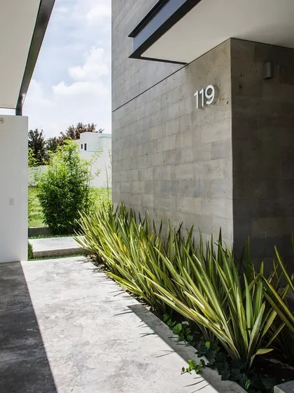 Modern architecture paired with the right plants creates true beauty. Here, a simple line of variegated snake plants provides a strong, clean border that enhances the home's concrete exterior.