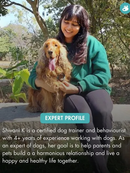 This is me with one of my furry clients. As a certified dog trainer and behaviourist with over four years of experience, my passion is helping you and your dog build a harmonious relationship. I believe in working with your dog's natural behaviors, not against them.