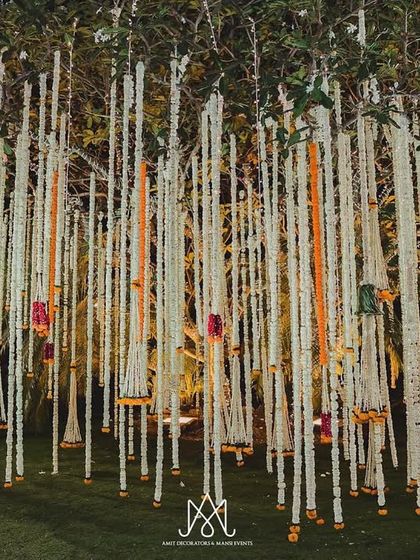 Royal Indian Heritage photo 29