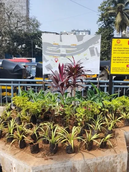 The installation of new planters and a public-facing site map. This showcases our attention to detail, providing both greenery and clear navigational information for users of the space.
