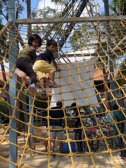 Wild Valley - Kids' Adventure Camps High-Rope Adventures photo 10