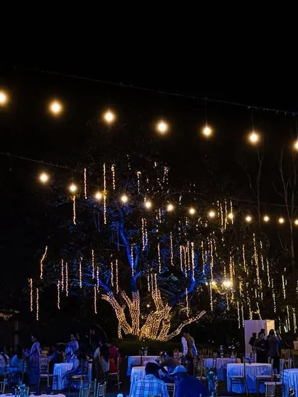 An outdoor reception setup illuminated by strings of fairy lights and dramatic lighting on the trees. We love using lighting to create a warm, magical ambiance for evening celebrations.