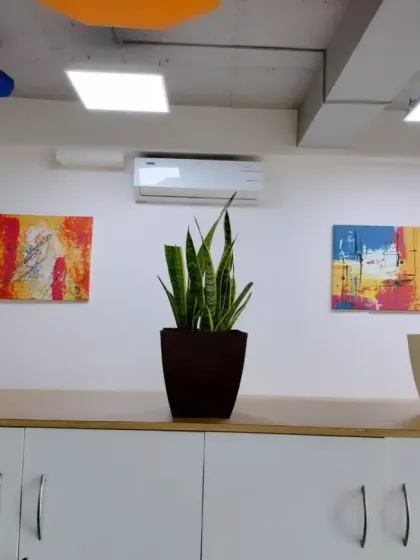 We use plants to complement existing office decor. Here, three potted plants are strategically placed to balance the wall art and add a natural element to the room.
