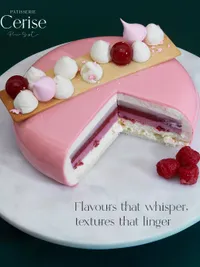Custom Entremet Cakes