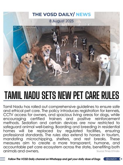 Tamil Nadu has rolled out comprehensive new guidelines for pet care, mandating kennel registration, CCTV access for owners, and restrictions on certain training devices. These rules aim to create a more transparent and humane pet care ecosystem.