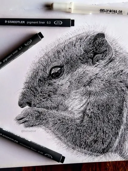 A detailed drawing of a squirrel, created with Staedtler pigment liners. This was a study in creating fur texture using only fine black lines.