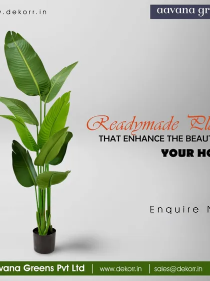 Our readymade plants, like this Bird of Paradise, are designed to enhance the beauty of your home without any of the work.