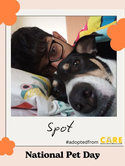 Charlie's Animal Rescue Centre - Animal Welfare Advocacy Happy Tails: Adoption Stories photo 12