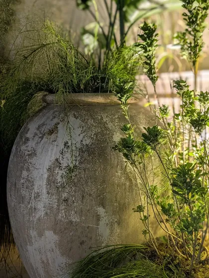 The beauty of a rustic, weathered urn filled with delicate ferns and greenery. This was one of the many details that contributed to the authentic, natural, and enchanting forest atmosphere we designed for the Anita Dongre event.