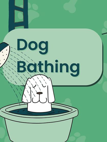 Furever Safe - Mobile Pet Grooming About Furever Safe photo 7