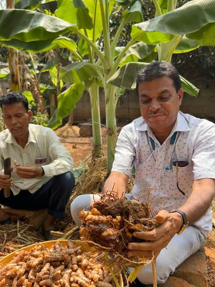 Our founder is seen here harvesting turmeric on Farmers Day. This image celebrates the direct connection to the land and the joy of unearthing our own organic produce.