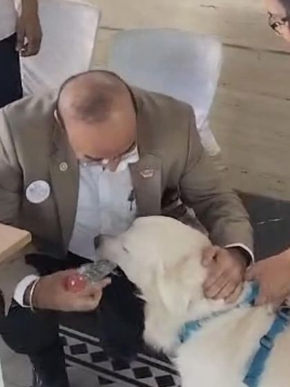 Deepthi - Dog Training & Behavior Modification Community & Group Activities photo 9