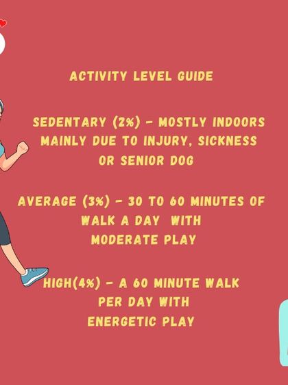 Hungry Eyes - Freshly Cooked Dog Meals Empowering Pet Parents photo 19