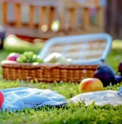 A charming picnic setup for an outdoor photoshoot. Props like a wicker basket and fresh fruit create a timeless and wholesome scene.