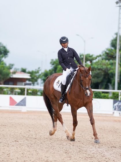 A beautiful shot of a rider and horse in perfect harmony during a dressage test at the Surge Show. This captures the essence of what we strive for: a seamless partnership.